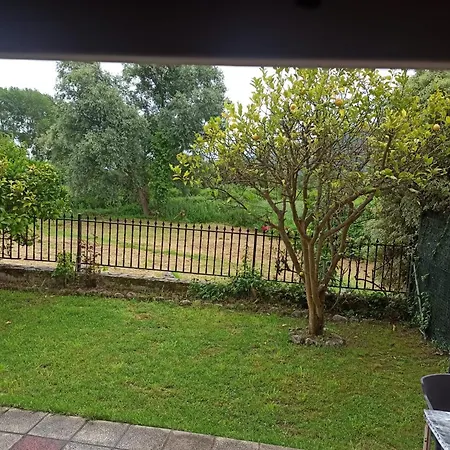 Nekar 2hab アパート *